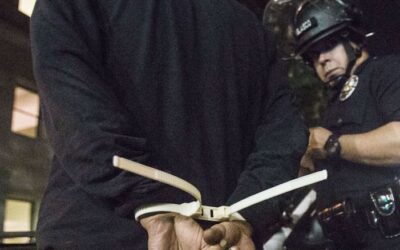 Protest Leaders like Rosa Clemente are Not Criminals